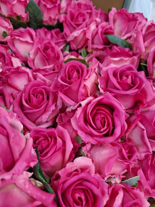 Rosas fucsia en Adornalia