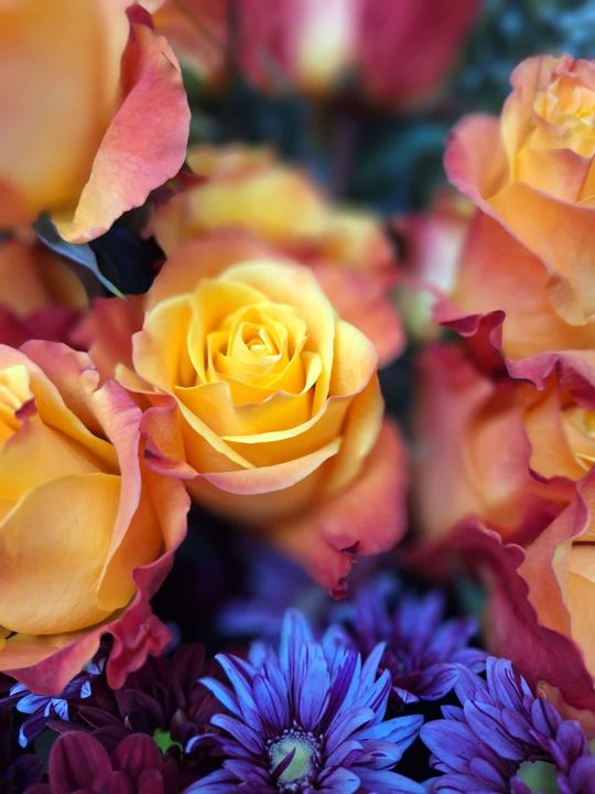 Rosas naranjas con detalle azul en Adornalia